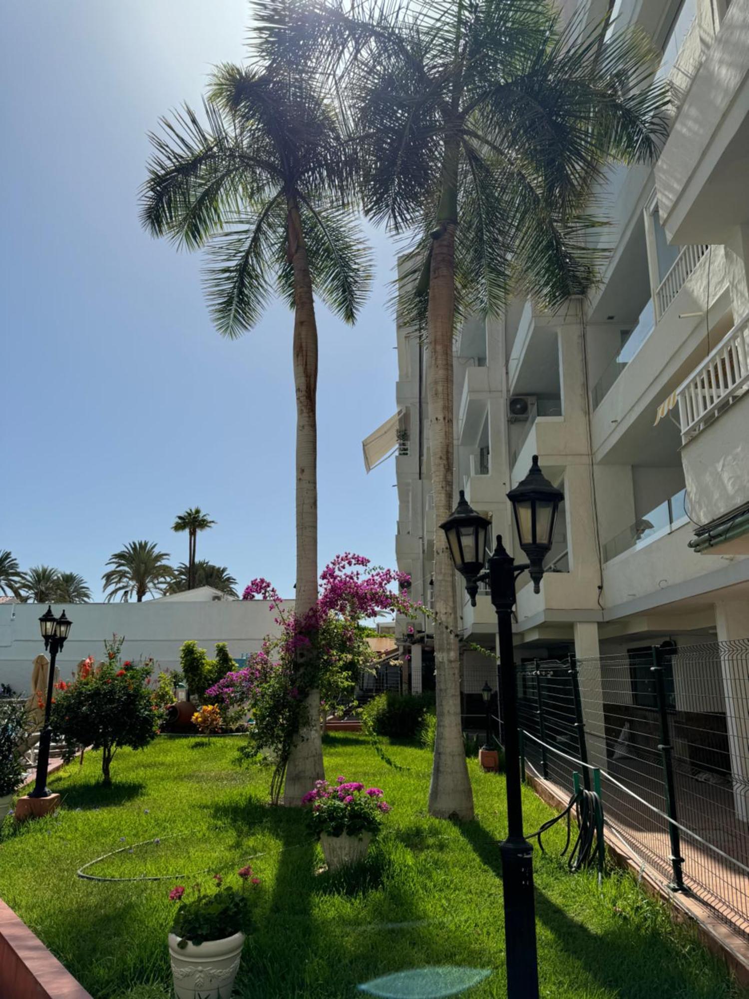 Apartamento Reformado En Apartamentos Tanife, Playa Del Ingles San Bartolomé エクステリア 写真