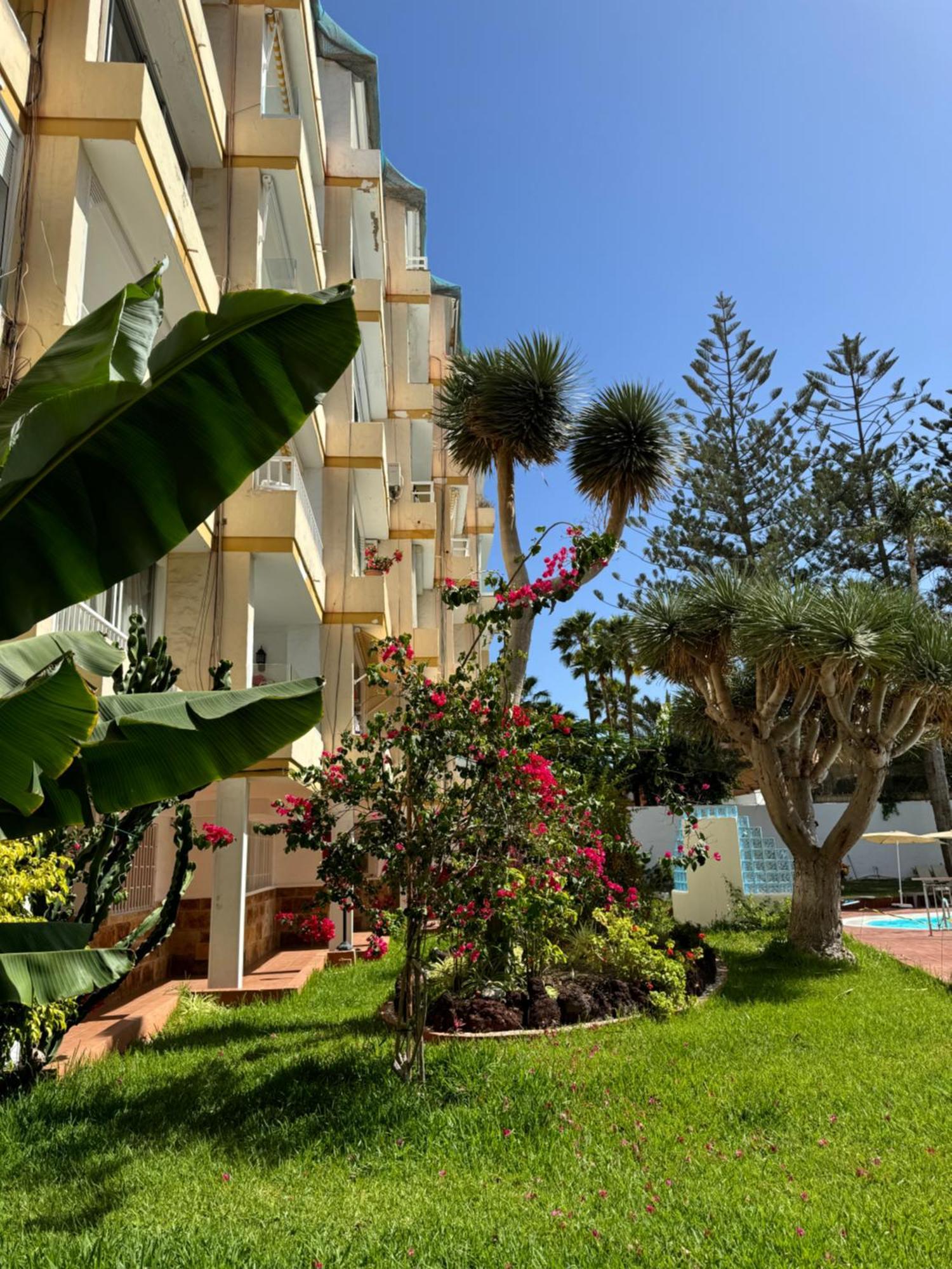 Apartamento Reformado En Apartamentos Tanife, Playa Del Ingles San Bartolomé エクステリア 写真